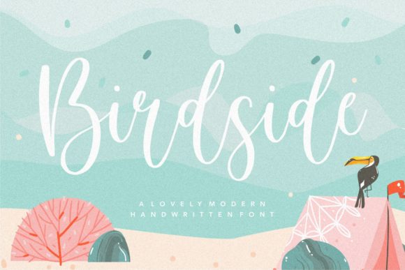 Birdside: A Designer’s Honest Review for Real Projects