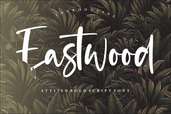 Eastwood Typeface: Elevating Brand Identity with Elegant Script