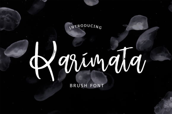 Karimata Font Review: Elegant Script for Branding