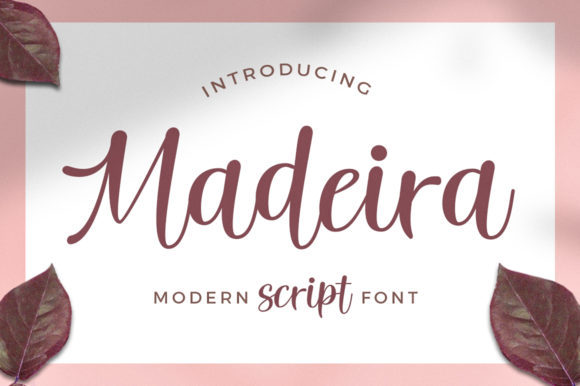 Madeira Font: Elegant Script for Crafters
